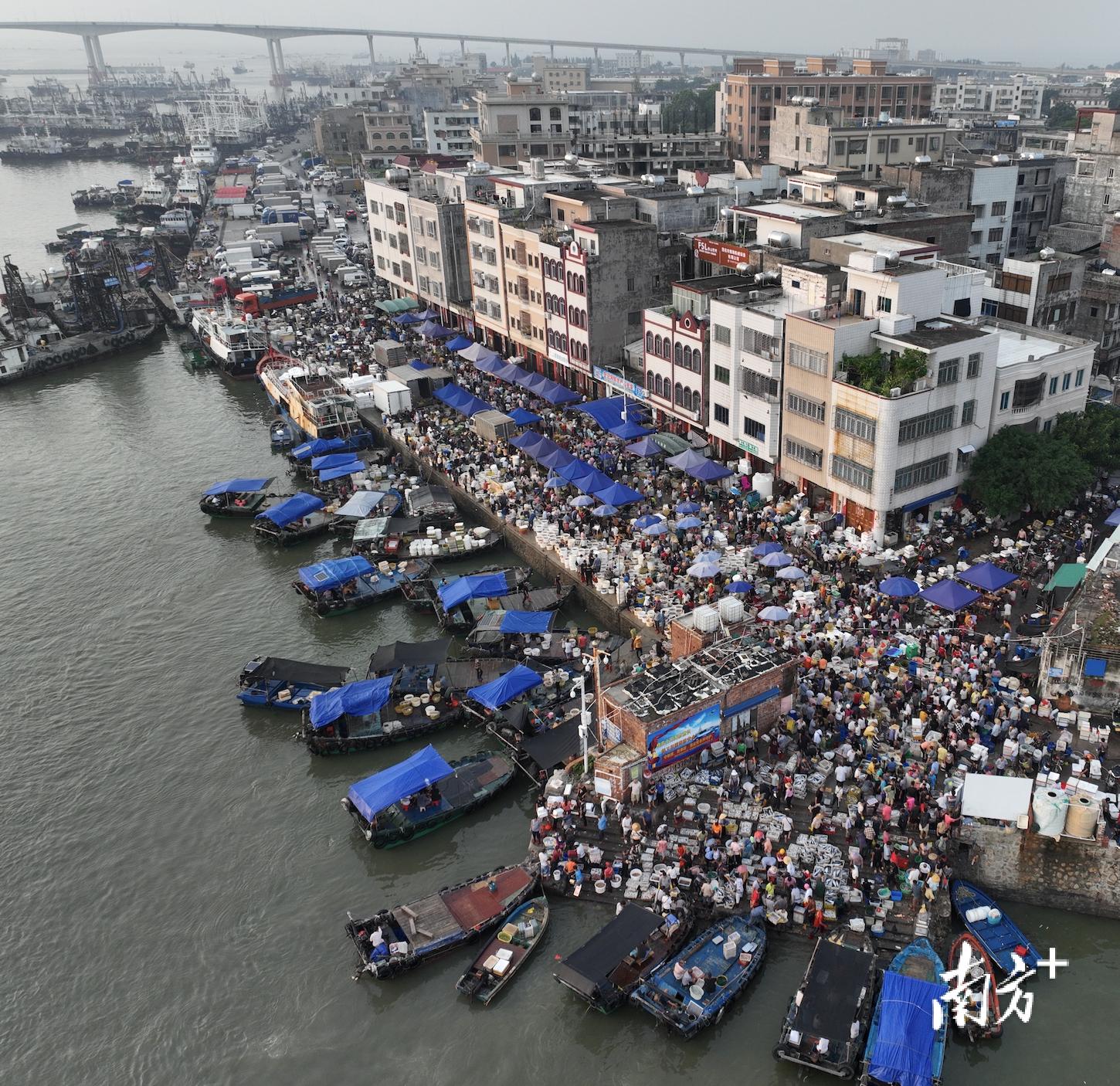 江苏滨海港最新概况概述