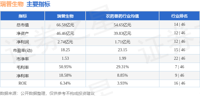 2024年12月26日 第11页