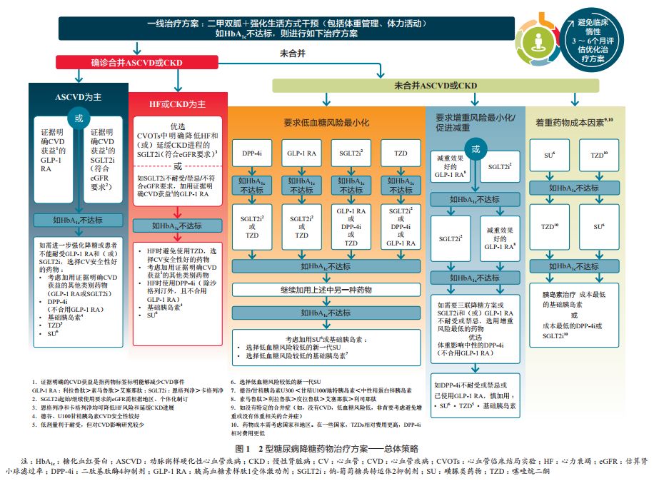 最新医学指南引领医疗进步，重塑健康未来新篇章