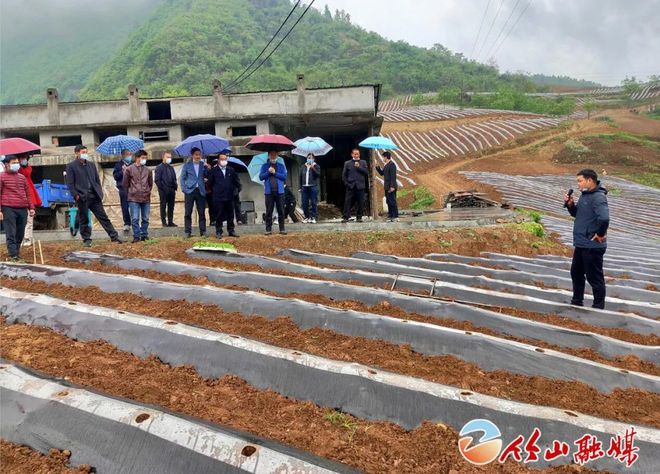 竹山最新动态，探索与进步的力量