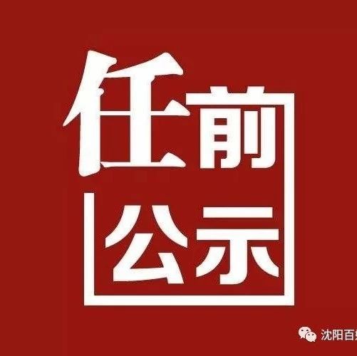 沈阳市干部公示，展现新时代领导力量的风采