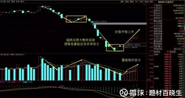 三维丝引领行业变革，塑造未来趋势的最新消息