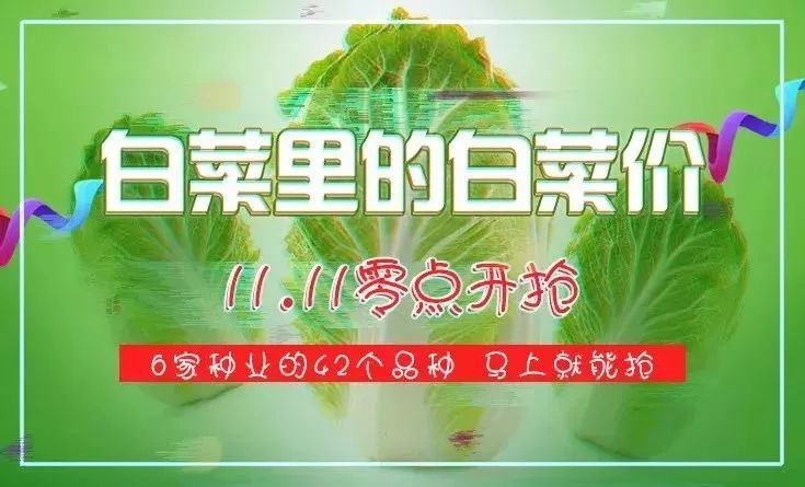 开启绿色生活新篇章，注册即送白菜福利！